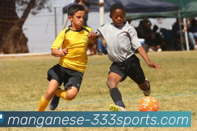 333体育APP 封面图